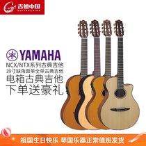 YAMAHA YAMAHA NCX NTX700 1200 classical guitar full veneer electric box nylon string 39 inch