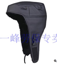 Delta Safety Hat anti - cold - proof - bold 102023