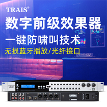 Teles DSP3000KTV pre-stage effect Professional digital pre-reverberation Home karaoke anti-howling device