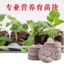 Nursery Block Compression Breeding Nutrient Soil Peat Charcoal Gardening Vegetable Flowers Nutrient Bowl Matrix Seeding Case Coconut Bran Mix
