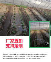 Glass fiber small shed bracket Vegetable Large Arch Shed Agricultural Small Courtyard Arch Pole Skeleton GRP Elastic Rod Glass Fiber Pole