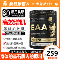 KEVIN Kevin Titans Essential full spectrum amino acids EAA FITNESS supplements for men and women MUSCLE building non-nitrogen pump creatine BCAA