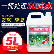 Koi fish potion dolphin nitrifying bacteria 5L fish pond universal disease treatment sterilization and deworms water purification clarifier medicine