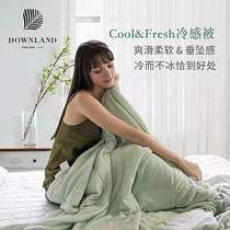 British DOWNLAND cool fresh cool summer cushion cold mat air conditioner is new product in 2021