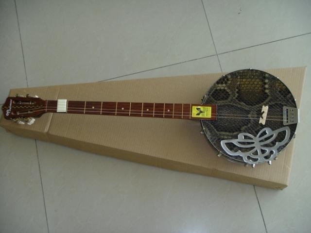 wave musical instrument python help rosewood four