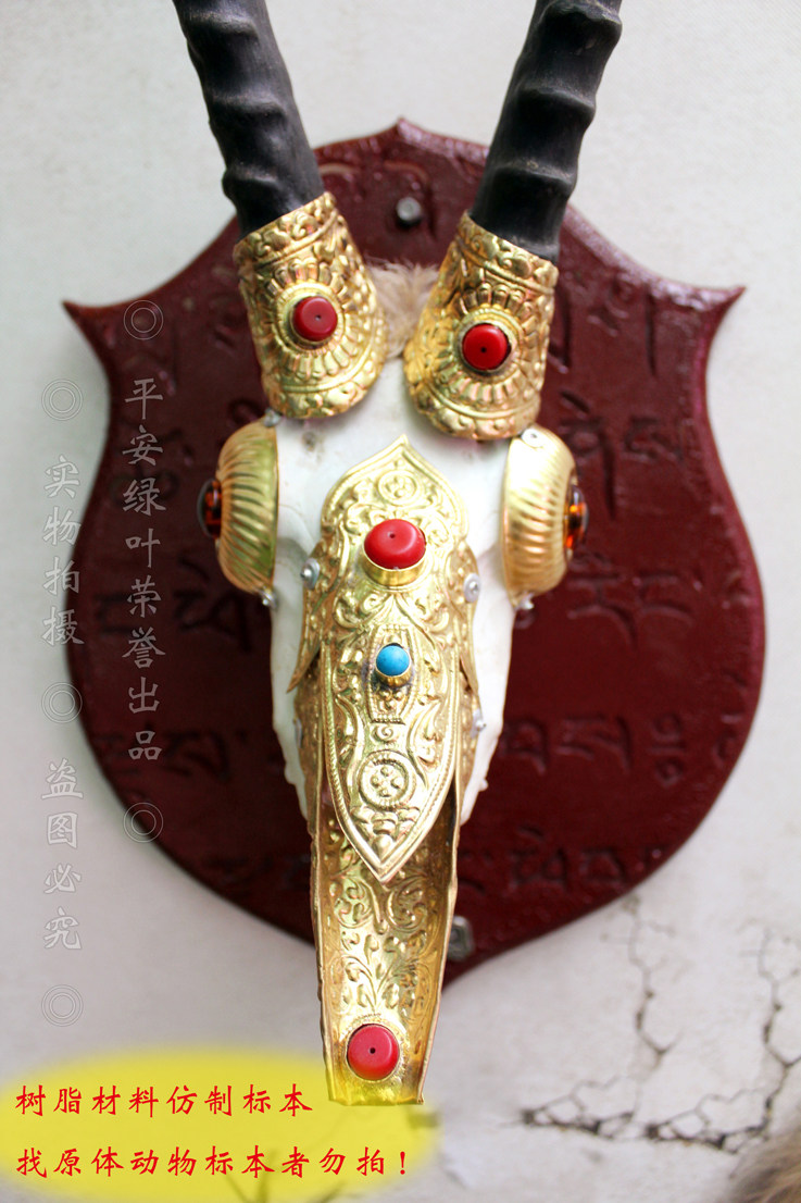 全国包邮【树脂仿生藏羚羊头骨】标本工艺品装饰品,送底盘