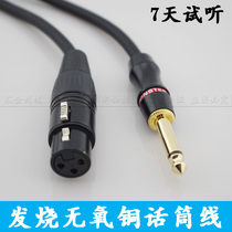 American Monster 100 6 35mm Big Two Core to Canon Notre Dame Audio Micromic Line Microphone Line