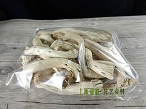 White bone wood in white bone wood