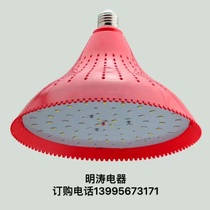 Mingtao led fresh pork braised vegetables cooked food duck neck vegetables fruits seafood cold and fresh meat lamp wholesale