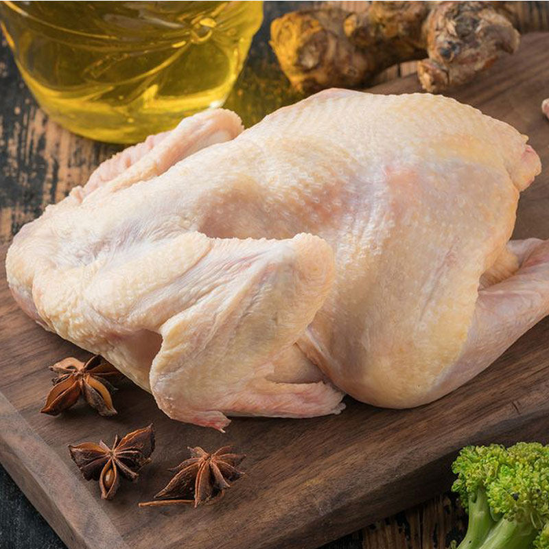 圣华浦东三黄童子鸡900g新鲜散养农家土鸡走地鸡整鸡生鲜冷冻货
