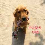 包邮中大型犬宠物狗玩具 金毛训练耐咬玩具