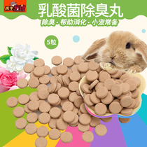 Hamster pets use lactic acid bacteria deodorant pills to regulate the stomach and increase beneficial bacteria 5 capsules