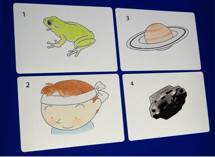 正品领优七田真 早教 右脑开发瞬间记忆 1000图小卡正品包邮