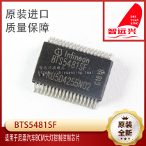 BTS5481SF is suitable for Nissan car BCM headlight control control chip Main car computer chip