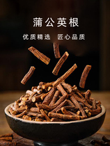 Selected fried dandelion root tea mother poding root tea bulk non-tongrentang old dandelion root tea 500g