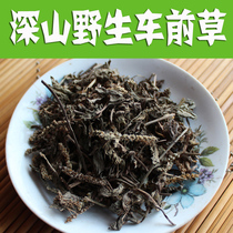 Weiwei Taihang Mountain Wild Pedan 100g