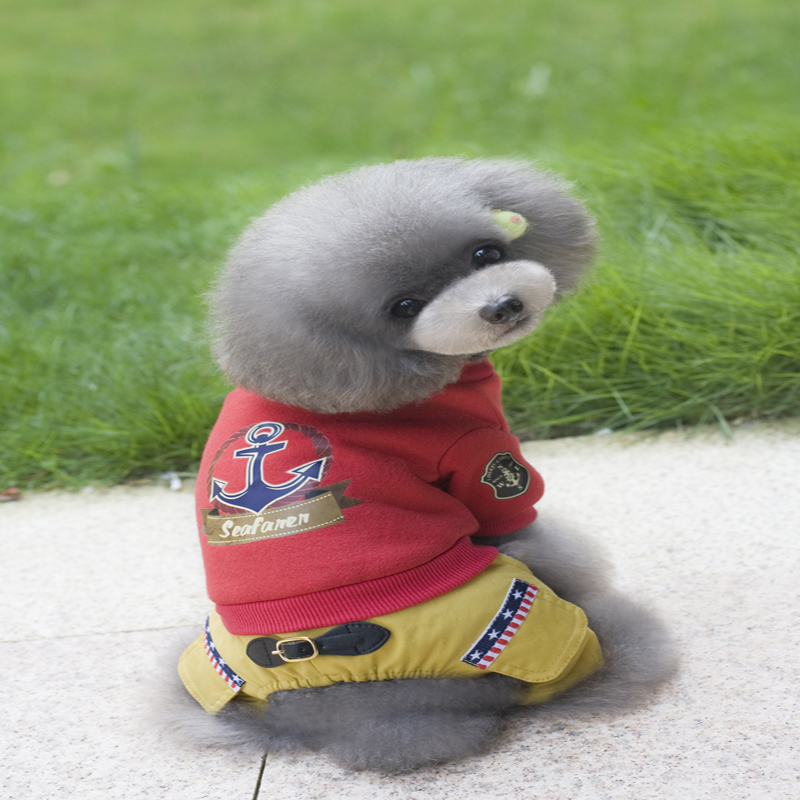 包邮 保暖泰迪狗狗四脚衣服秋冬 比熊犬宠物衣服 宠物小狗冬季棉"