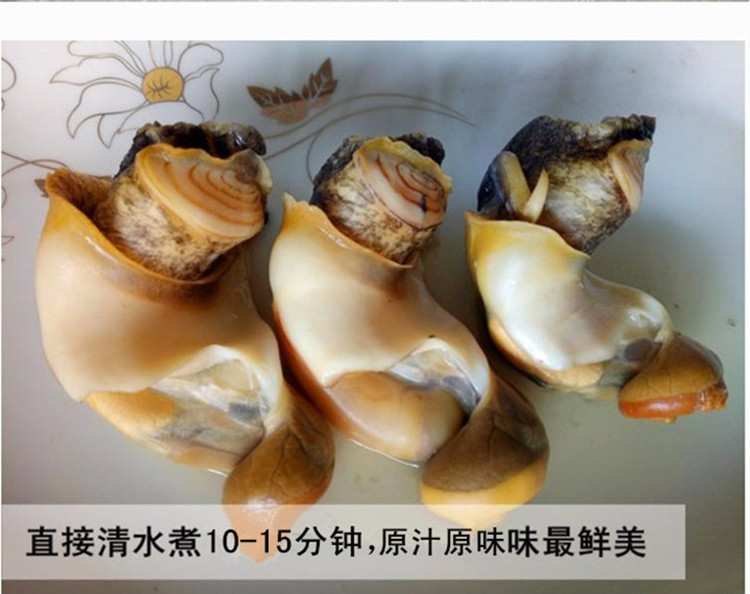 5斤海螺肉2个包邮