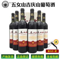 Huanren Wunshan Jiqing Mountain Wine Original Sauce Sweet Wedding Wedding Banquet Red Wine 740ml * 6 bottles