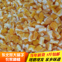 Northeast farmhouse corn big dumplings new corn ballasts 500g five catties