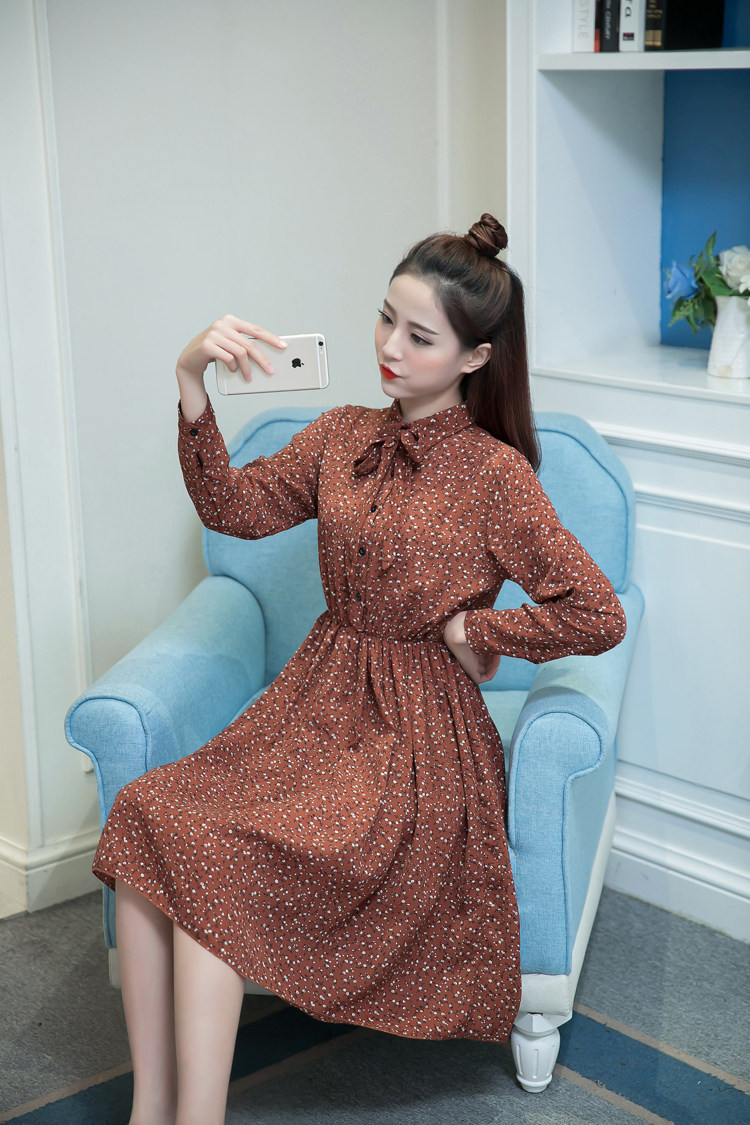 名媛时尚2017春季新款雪纺连衣裙女长袖打底裙大花女长裙