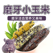 10 hamster grindstone grinding stick small corn snacks small corn golden silk bear flower and mouse rabbit dragon cat grindroe