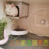 Shanghai Chinchilla Foster Care Shanghai Rabbit Foster care Shanghai pet foster care Shanghai Hamster Dutch pig foster care service