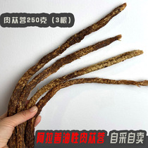 Inner Mongolia Alxa Desert Special Meat * * Rong to send Wolfberry