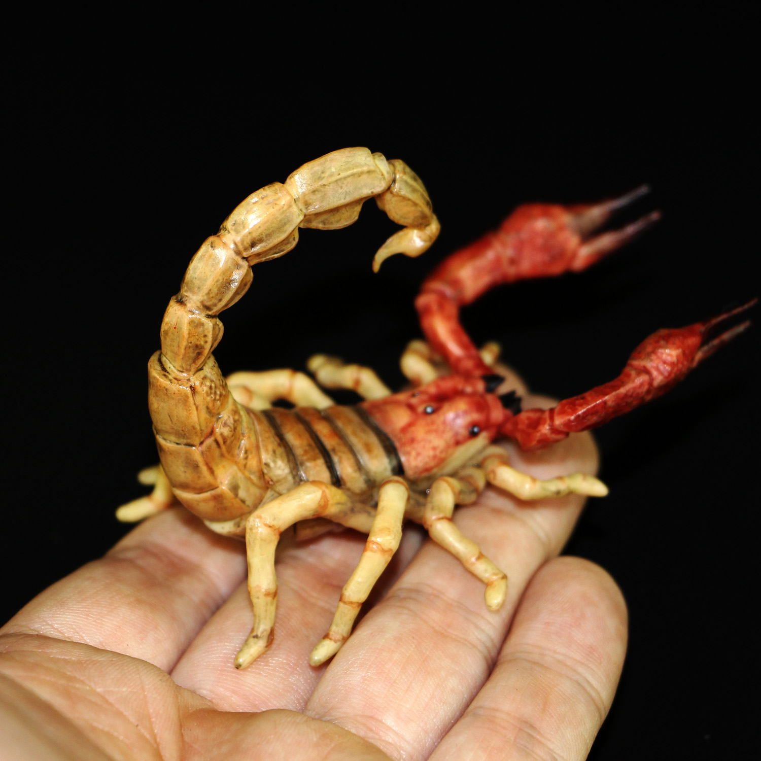 16年papo仿真野生动物节肢昆虫毒蝎子玩具模型 全新带标