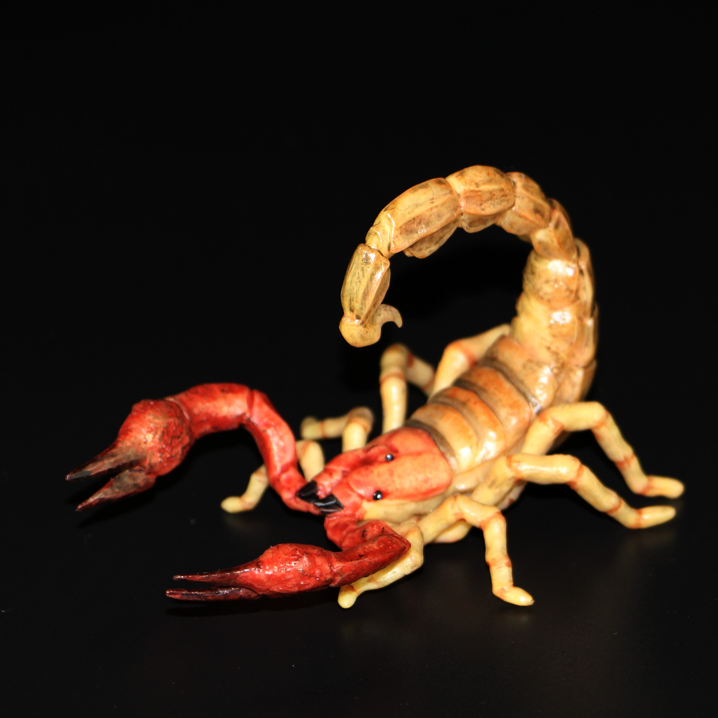 16年papo仿真野生动物节肢昆虫毒蝎子玩具模型 全新带标