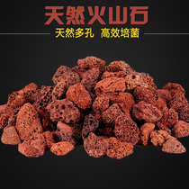 Natural Aquarium Filter Material Large Volcanic Rock Parrot Luohan Fish Tank Bottom Color Enhancement Fleshy Paved Volcanic Rock