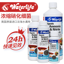 British original waterlife nitrifying bacteria fish tank Aquarium with digestive bacteria live bacteria Ammonia nitrogen removal water purifier