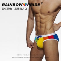 RainbowPride Rainbow Triangle Swim Pants Sexy Close-fitting Collage of Chinlon Pants Swimsuit Bikini Man