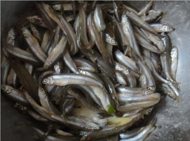 2015新货湖南特产美食农家自制河鱼仔洞庭湖野生小鱼干货250g特价