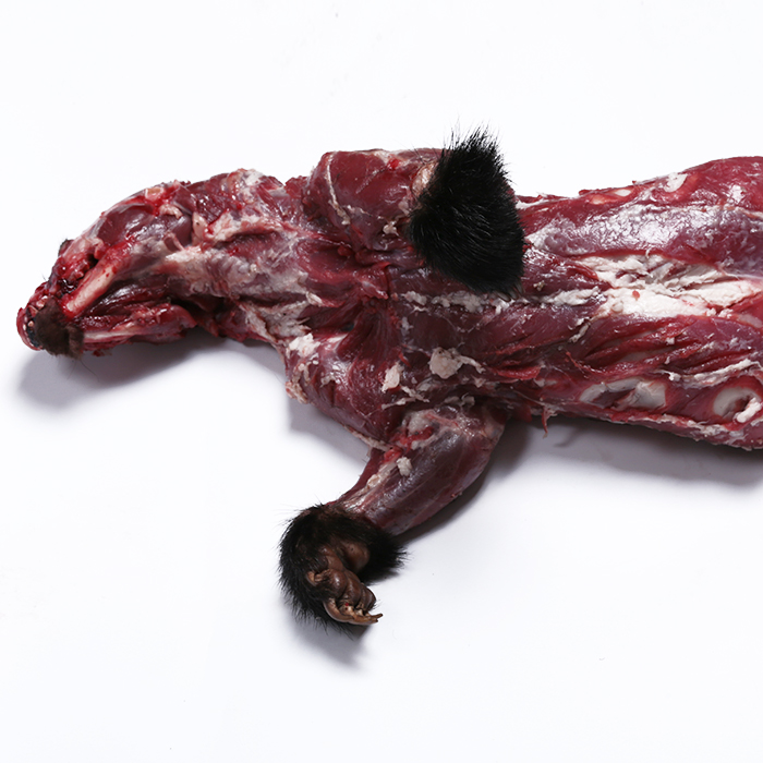 东北老农 獾肉 正宗狗獾子肉 野味肉獾子胆獾子心獾子皮