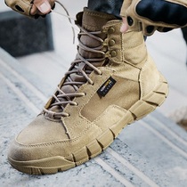 Outdoor hiking shoes Combat boots Tactical boots hiking men and women ultra-light wear-resistant non-slip waterproof breathable mountain climbing desert boots