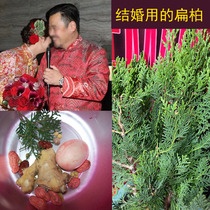 Get married on top of the headcomb Bian newbie bride New Lang wedding flat Berber