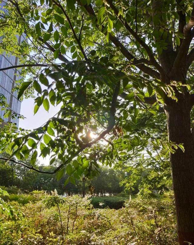 性价比感人oppok3真的好用吗