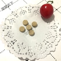 Squirrel flying squirrel honey bag glider