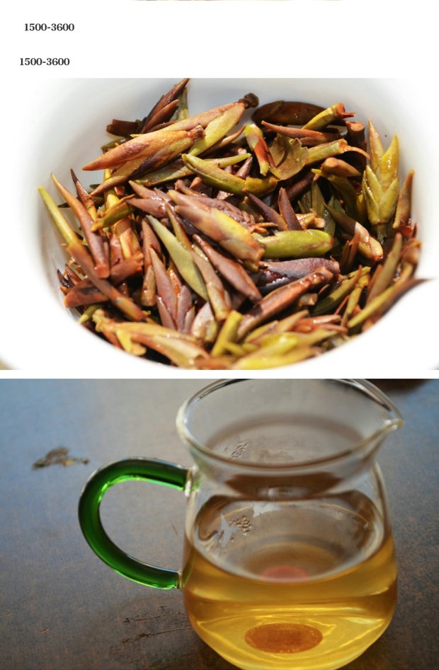 普洱茶野生茶2017年千家寨野生古树茶芽孢普洱茶头春野生散茶