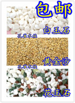 Succulent Plant Horticulture green plant potted bonsai water culture White Jade white stone white stone white stone golden sand fish tank aquarium landscape