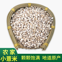 Dabie Mountain specialty high quality small barley rice 500g