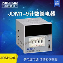 CHINT Count Relay JDM1-9L AC DC100V-240V AC220V 380V