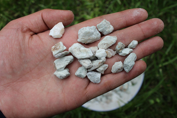 250克中药材 阳起石