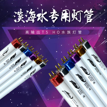 American Langfeng wave peak T5HO lamp Aquatic plant lamp Seawater lamp Photosynthetic star tropical tube 865 coral tube