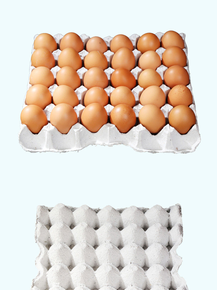 纸浆蛋托 10枚15枚30枚纸蛋托 养殖运输礼盒鸡蛋托新无洞可批