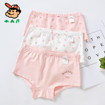 Little AB girls underwear cotton boxer 10 middle and big child 12 baby 15-year-old primary school girl childrens shorts