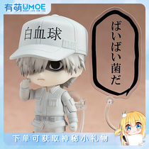 Clay human spot working cell White blood cell White blood cell Maeno Tomoaki clay human hand