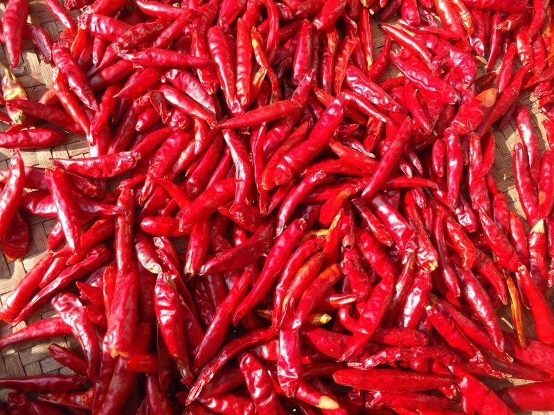 辣椒王印度魔鬼超级辣农家长条朝天椒小米椒特产批发100克5件免邮