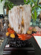 New Myanmar tree jade raw stone Wood fossil Lucky Town House strange stone Silicified wood Bogu frame modeling stone ornaments